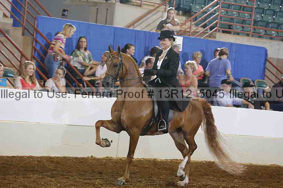 Proof 13r12_5045