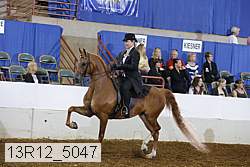 13r12_5047 proof