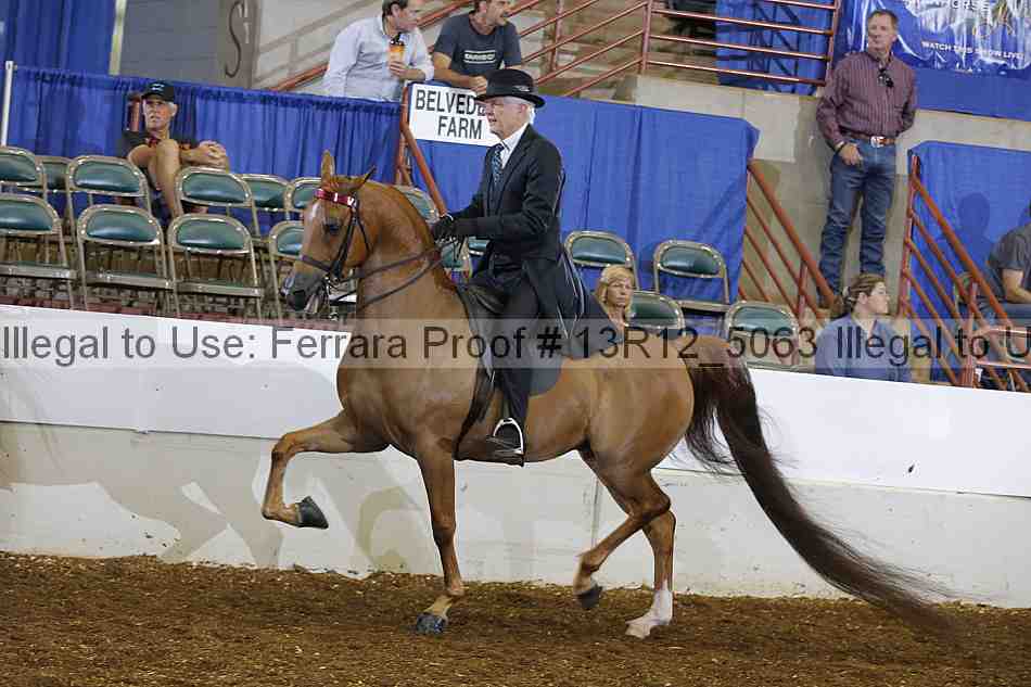 Proof 13r12_5063