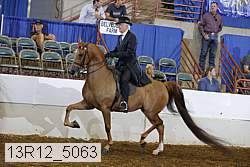 13r12_5063 proof