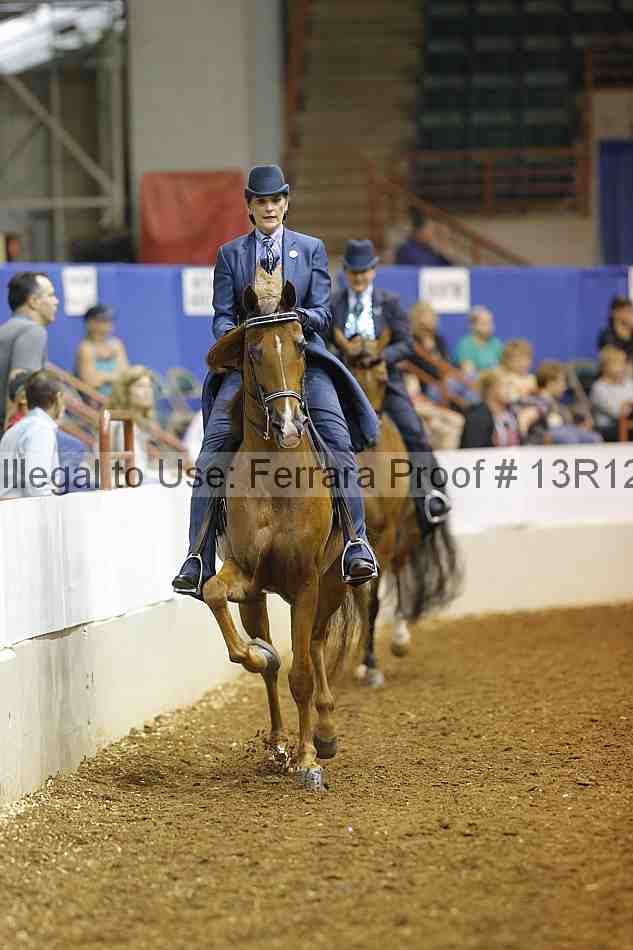 Proof 13r12_5064