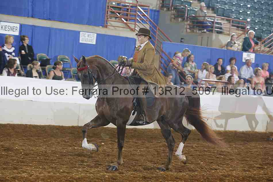 Proof 13r12_5067