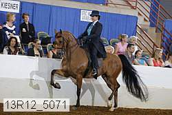 13r12_5071 proof