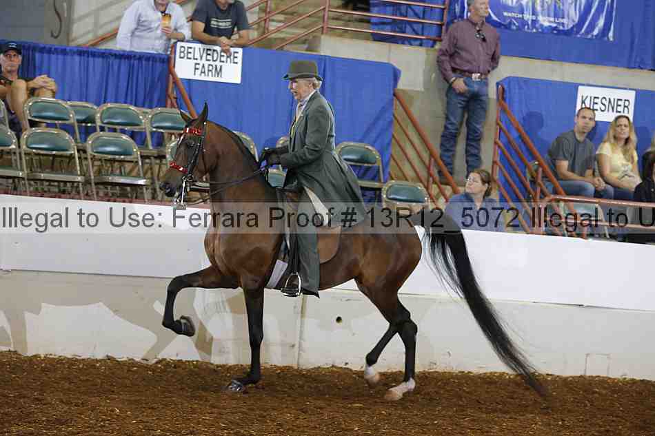 Proof 13r12_5072
