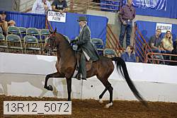 13r12_5072 proof