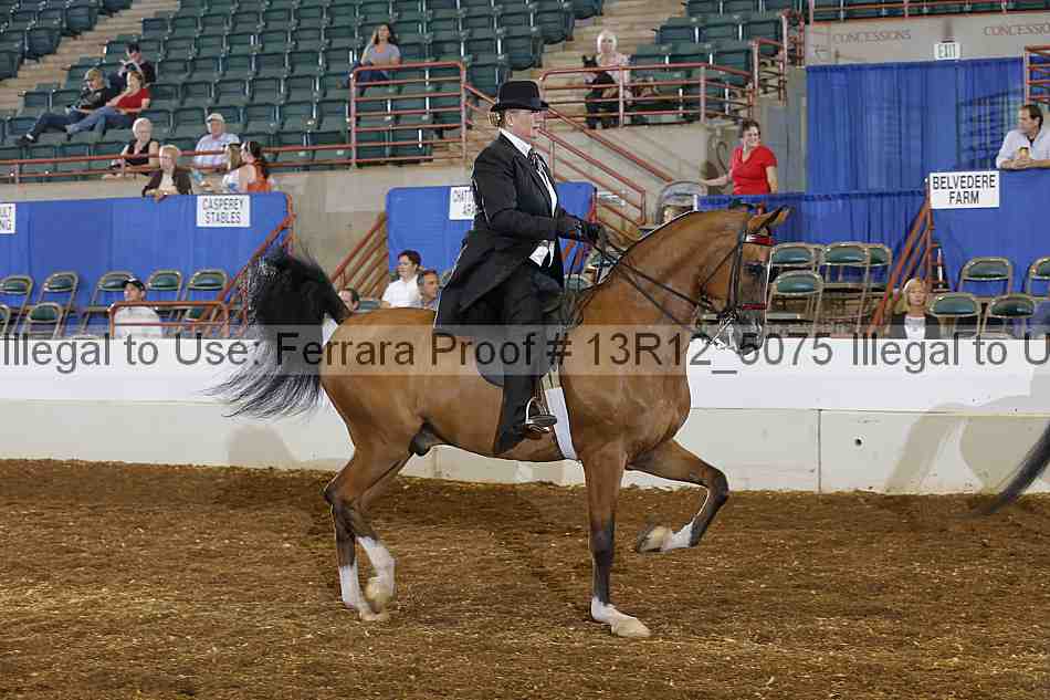 Proof 13r12_5075
