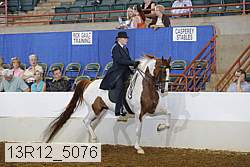 13r12_5076 proof
