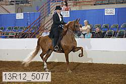 13r12_5077 proof