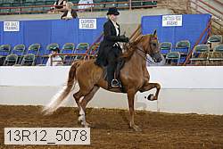 13r12_5078 proof