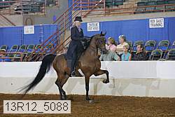 13r12_5088 proof
