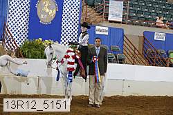 13r12_5151 proof