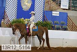 13r12_5164 proof