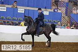 13r12_5185 proof