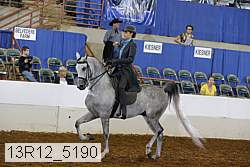 13r12_5190 proof