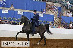 13r12_5193 proof
