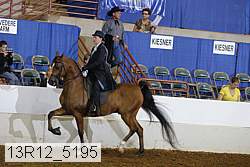 13r12_5195 proof