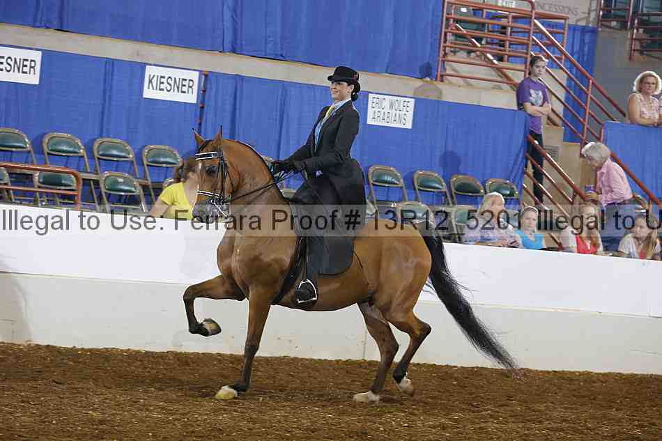 Proof 13r12_5201