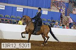 13r12_5201 proof
