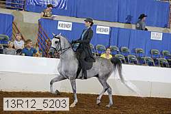 13r12_5203 proof