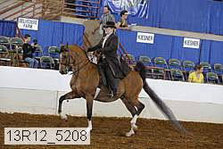 13r12_5208 proof