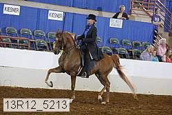 13r12_5213 proof
