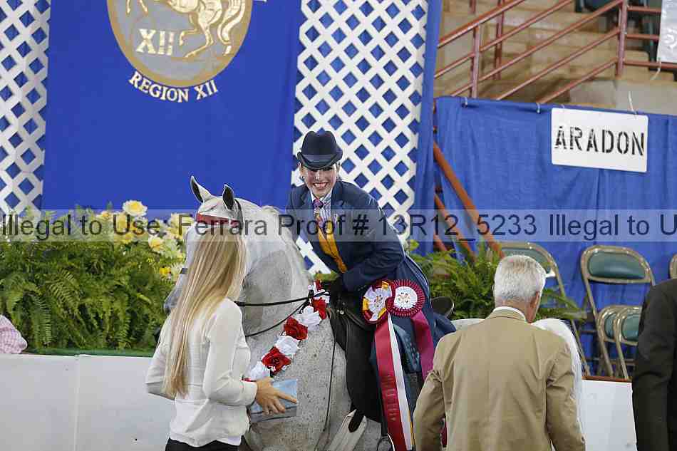 Proof 13r12_5233