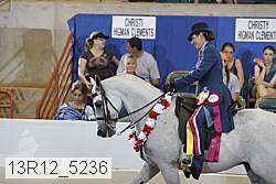 13r12_5236 proof