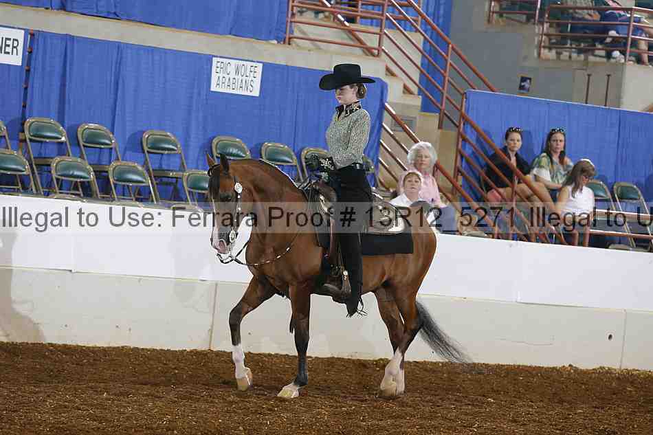 Proof 13r12_5271