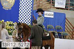 13r12_5272 proof