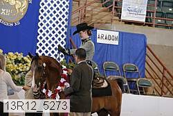 13r12_5273 proof