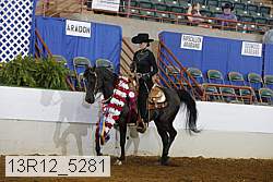 13r12_5281 proof