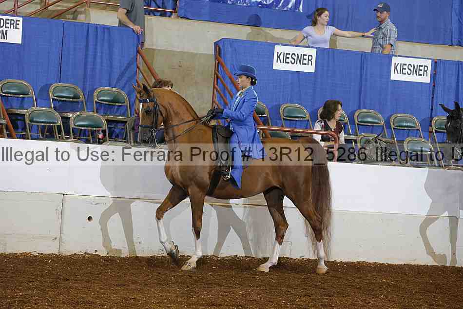 Proof 13r12_5286