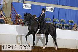 13r12_5287 proof