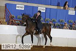 13r12_5289 proof