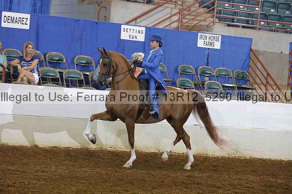 Proof 13r12_5290