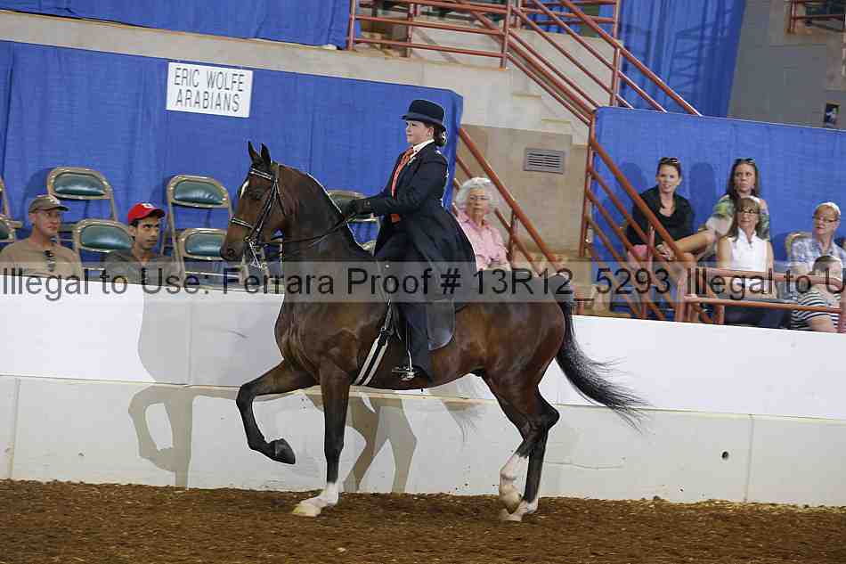 Proof 13r12_5293
