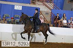 13r12_5293 proof
