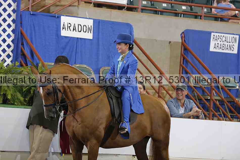 Proof 13r12_5301