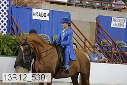 13r12_5301 proof