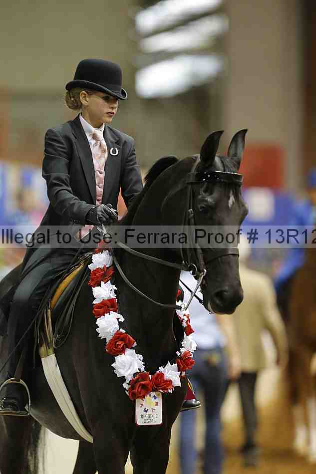 Proof 13r12_5302