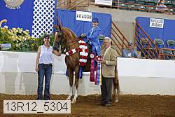 13r12_5304 proof