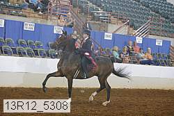 13r12_5308 proof
