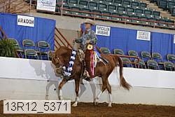 13r12_5371 proof