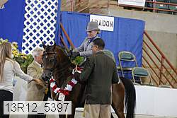 13r12_5397 proof