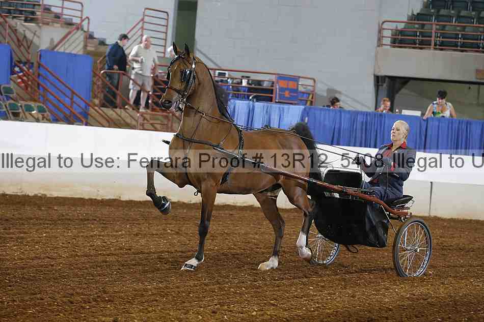 Proof 13r12_5408