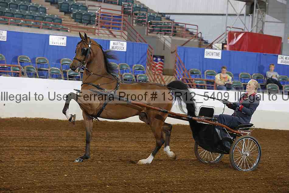 Proof 13r12_5409
