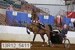 13r12_5411 proof