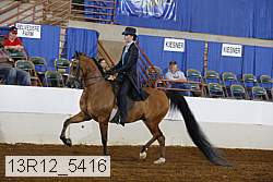 13r12_5416 proof