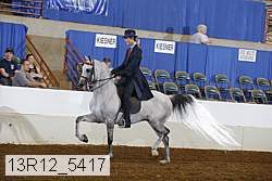 13r12_5417 proof