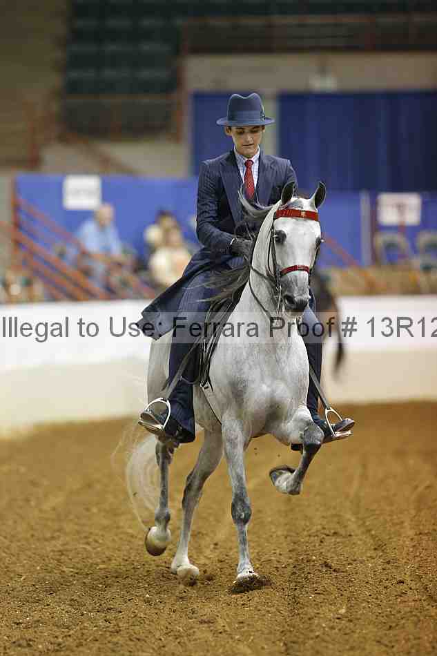 Proof 13r12_5423